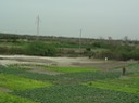 Senegal—70