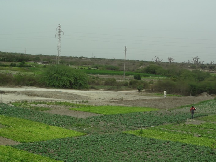 Senegal—70
