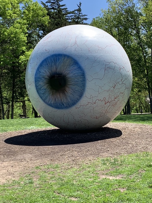 St.Louis 2019—50