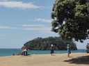 Tauranga—14