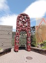 Tauranga—25