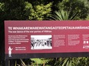 Tauranga—36