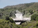 Tauranga—37