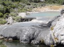 Tauranga—40