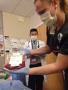 The Bone Marrow Pack