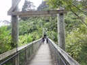Wellington—35